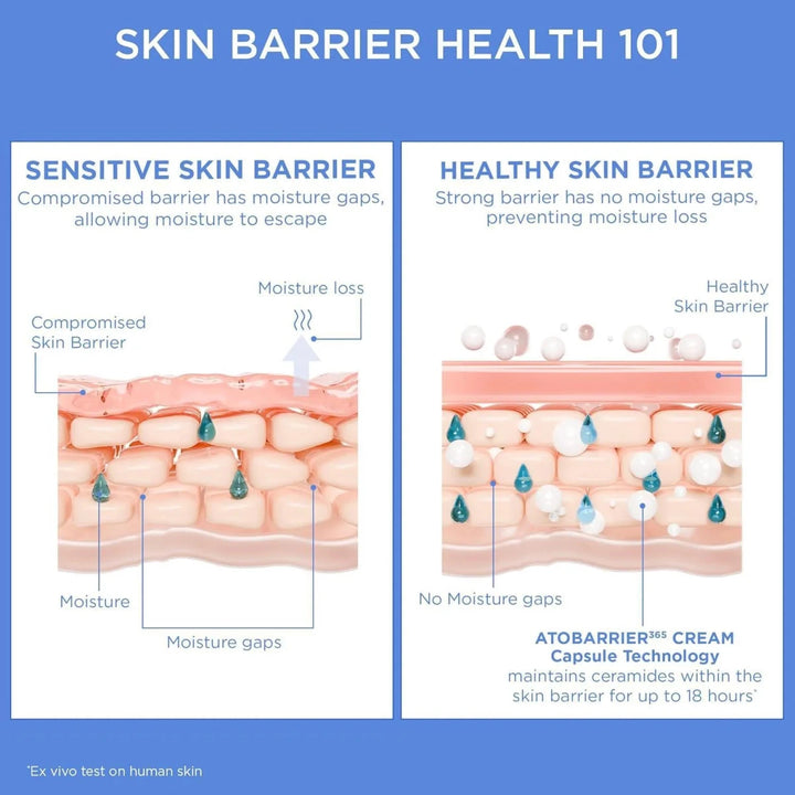 AESTURA ATOBARRIER 365 Cream 30ml – High - Density Ceramide Moisture Barrier Cream Moisturizer 7