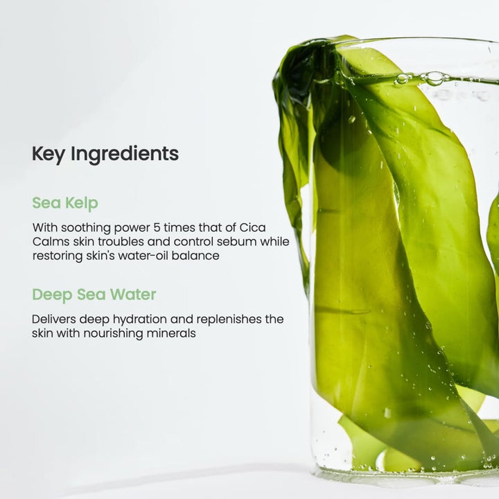 BIODANCE Refreshing Sea kelp Real Deep Mask 4Pcs Health & Beauty