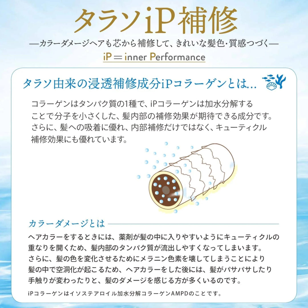 KOSE Jureme iP Thalasso Repair Concentrate Hair Mask 200g Health & Beauty oceanbuy.ca markham toronto free ship USA asian korean skincare