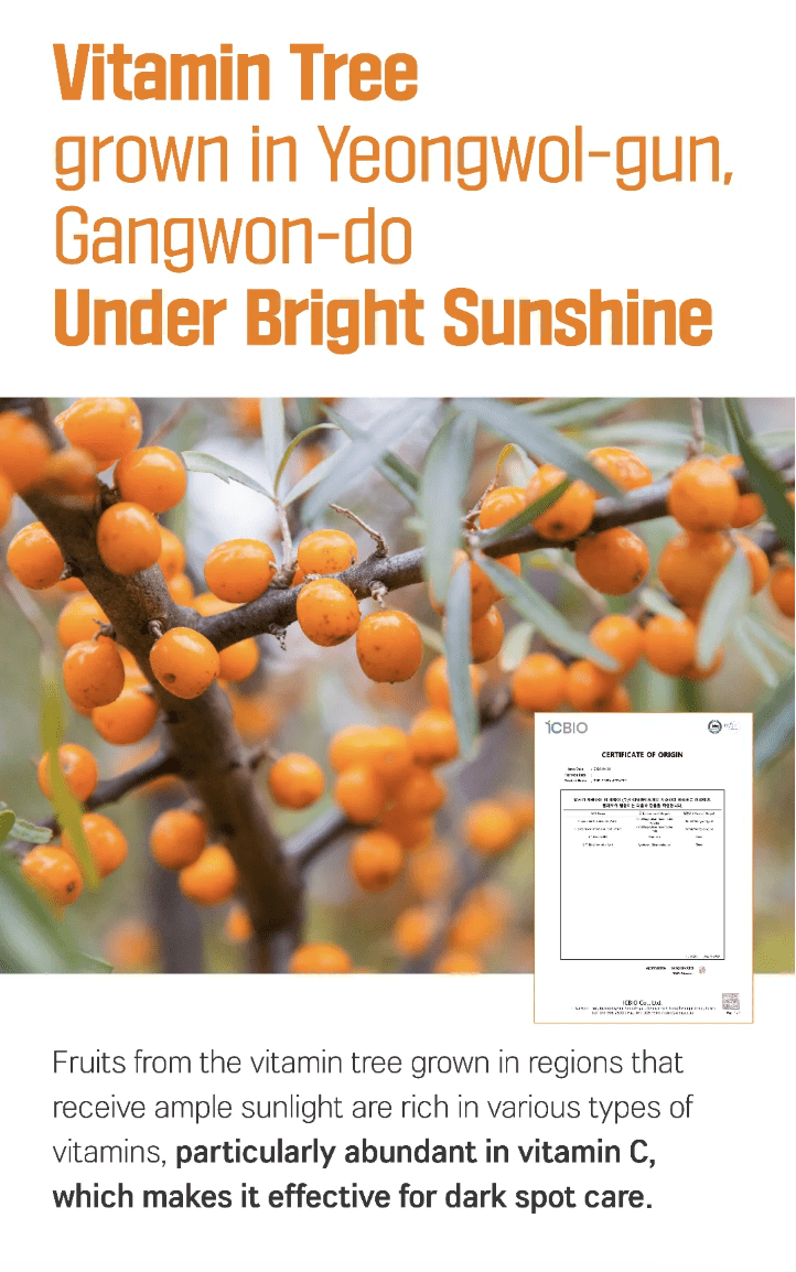 ROUND LAB Vita Niacinamide Dark Spot Serum Mask 10Pcs Health & Beauty oceanbuy beauty markham toronto free ship USA asian korean skincare